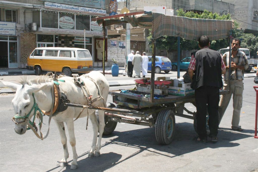 Di Gaza Mereka Terdera   